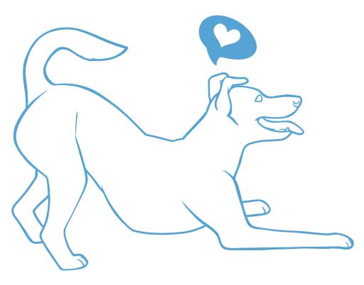 Fusion Pet Retreat Daycare dog drawing 5