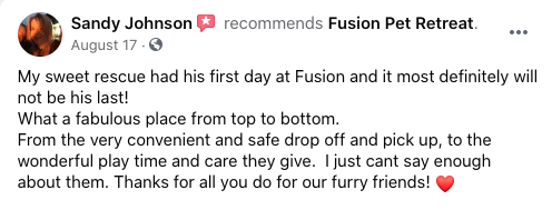 Fusion Pet Retreat Testimonial Positive Review 7