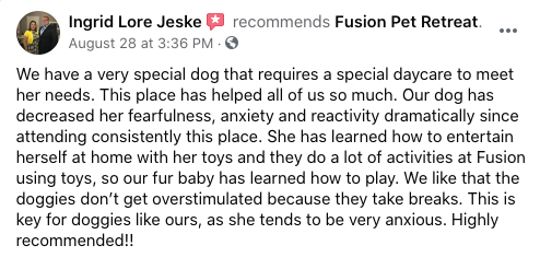 Fusion Pet Retreat Testimonial Positive Review 6