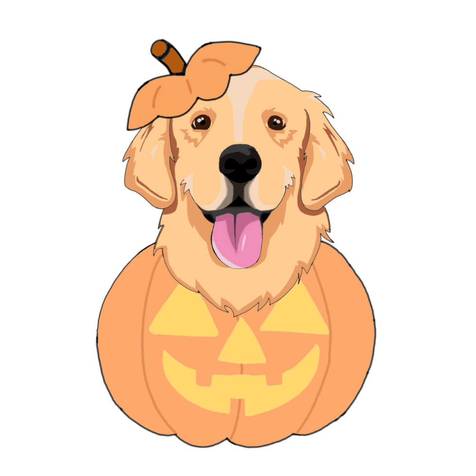 Fusion Pet Retreat Dog, Cat, or Critter Boarding, Daycare, and Training