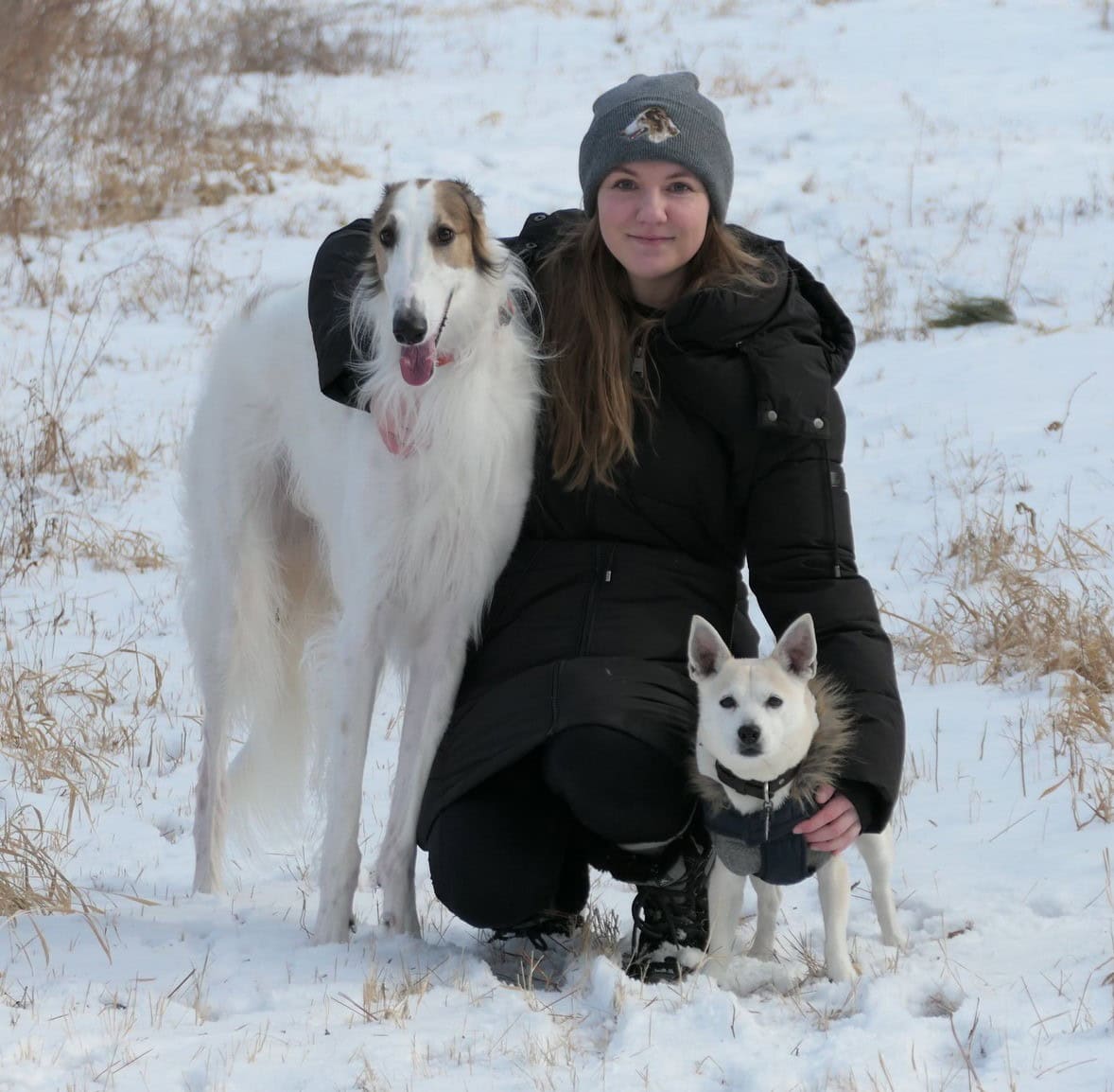 Maddy and dogs